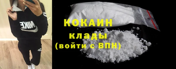 соль ск Абаза