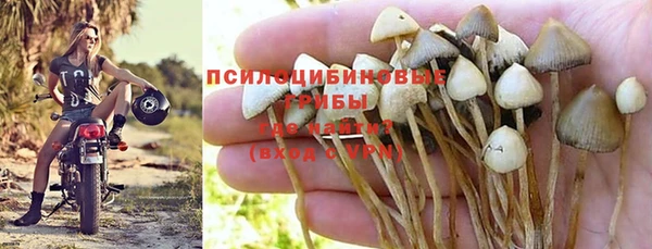 соль ск Абаза