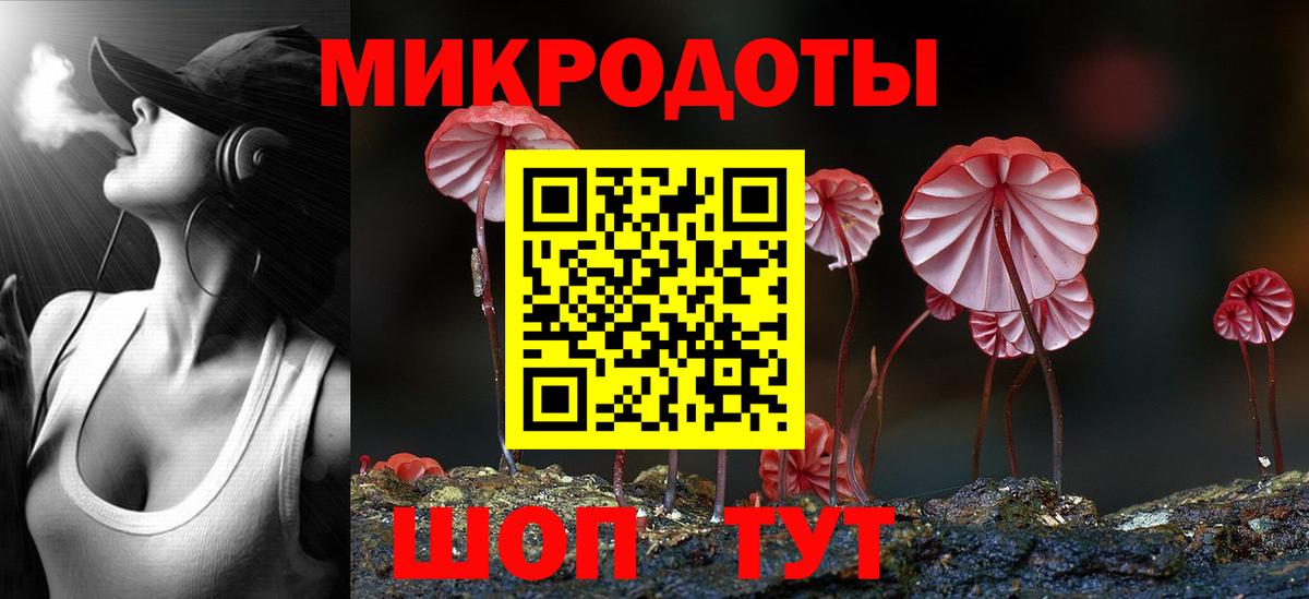 Галлюциногенные грибы Psilocybe Камышлов